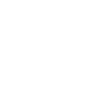 CHLORINE DEFENCE SYSTEM Patented