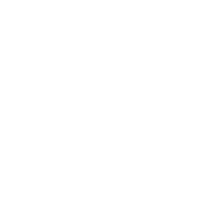 D-SHAPE Patent pending